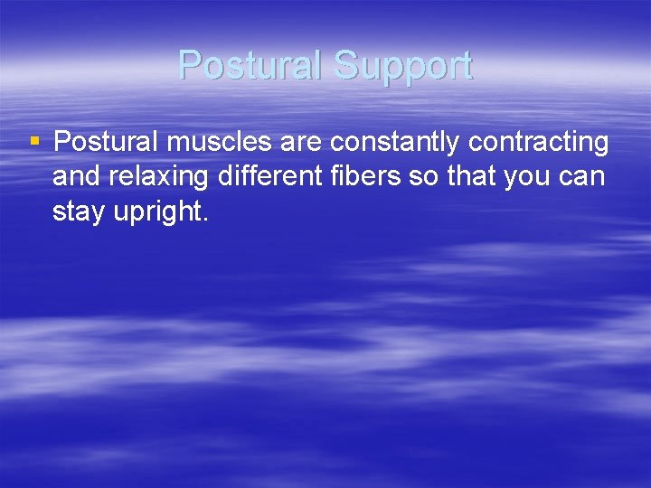 Postural Support § Postural muscles are constantly contracting and relaxing different fibers so that