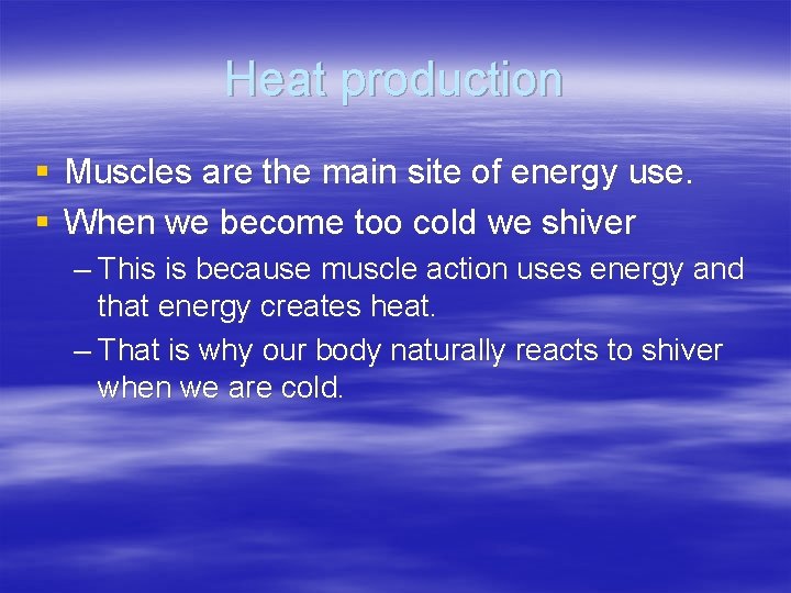 Heat production § Muscles are the main site of energy use. § When we