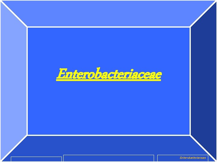 Enterobacteriaceae 