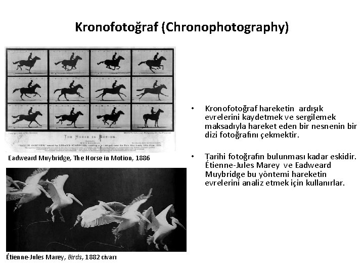 Kronofotoğraf (Chronophotography) Eadweard Muybridge, The Horse in Motion, 1886 Étienne-Jules Marey, Birds, 1882 civarı