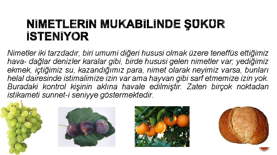 Nimetler iki tarzdadır, biri umumi diğeri hususi olmak üzere teneffüs ettiğimiz hava- dağlar denizler