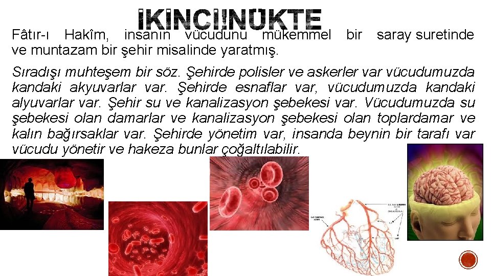 Fâtır-ı Hakîm, insanın vücudunu mükemmel ve muntazam bir şehir misalinde yaratmış. bir saray suretinde