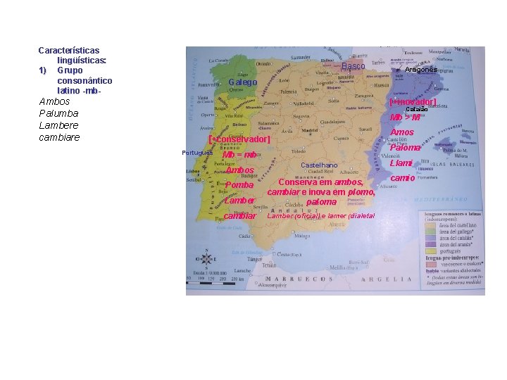 Características lingüísticas: 1) Grupo consonântico latino -mb- Ambos Palumba Lambere cambiare Basco Aragonês Galego
