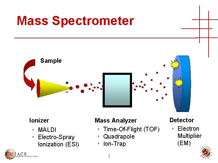 Mass Spectrometer Sample + _ Ionizer • MALDI • Electro-Spray Ionization (ESI) Mass Analyzer