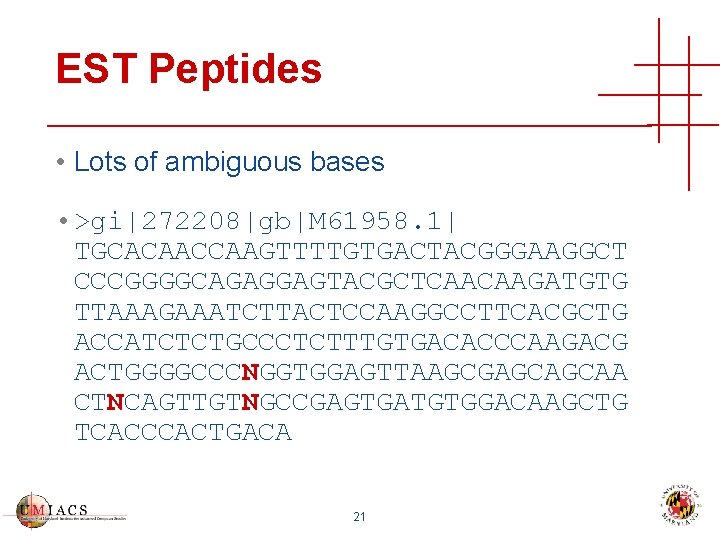 EST Peptides • Lots of ambiguous bases • >gi|272208|gb|M 61958. 1| TGCACAACCAAGTTTTGTGACTACGGGAAGGCT CCCGGGGCAGAGGAGTACGCTCAACAAGATGTG TTAAAGAAATCTTACTCCAAGGCCTTCACGCTG