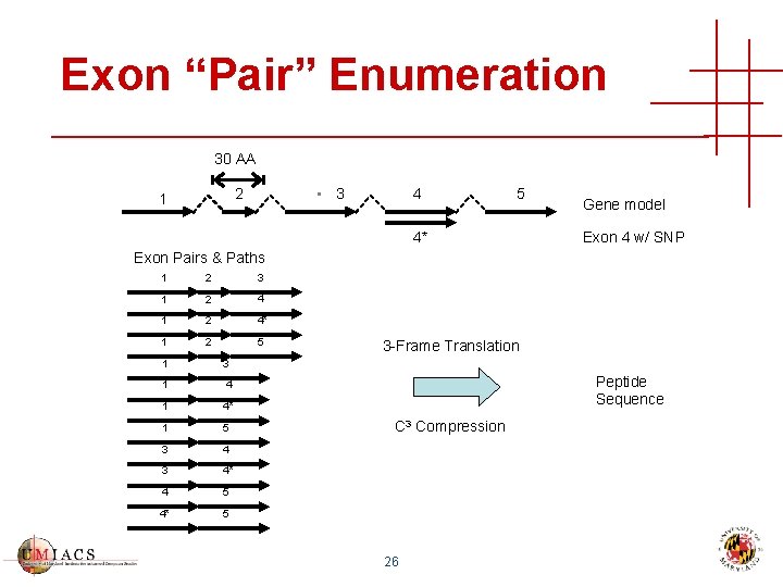 Exon “Pair” Enumeration 30 AA • 3 2 1 4 5 4* Gene model