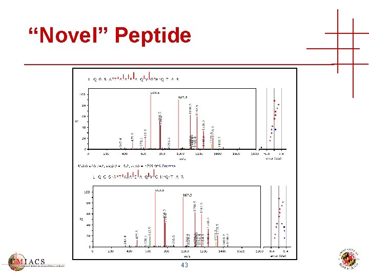 “Novel” Peptide 43 