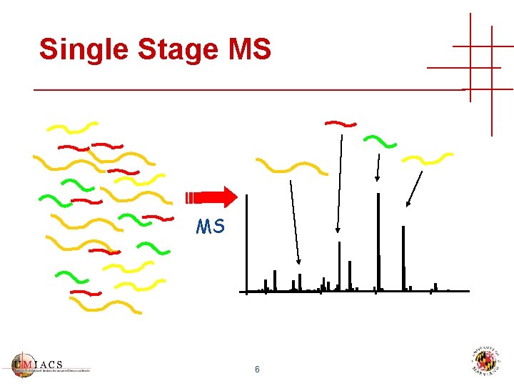 Single Stage MS MS 6 