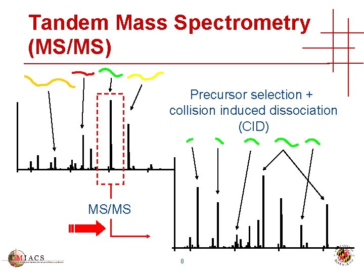 Tandem Mass Spectrometry (MS/MS) Precursor selection + collision induced dissociation (CID) MS/MS 8 