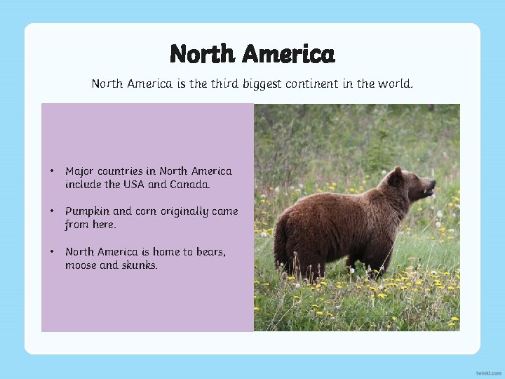 North America is the third biggest continent in the world. • Major countries in