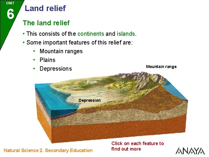 UNIT 6 Land relief The land relief • This consists of the continents and