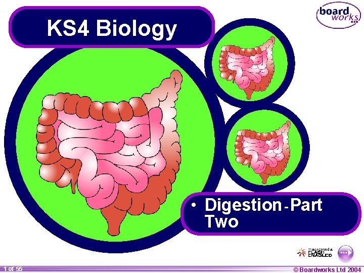 KS 4 Biology • Digestion - Part Two 1 of 55 © Boardworks Ltd