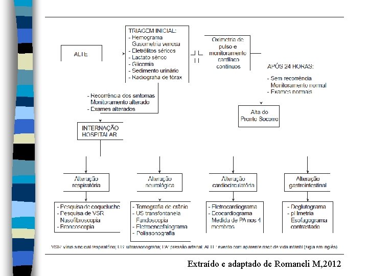 Extraído e adaptado de Romaneli M, 2012 