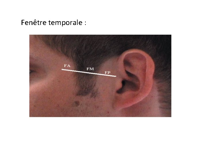 Fenêtre temporale : 