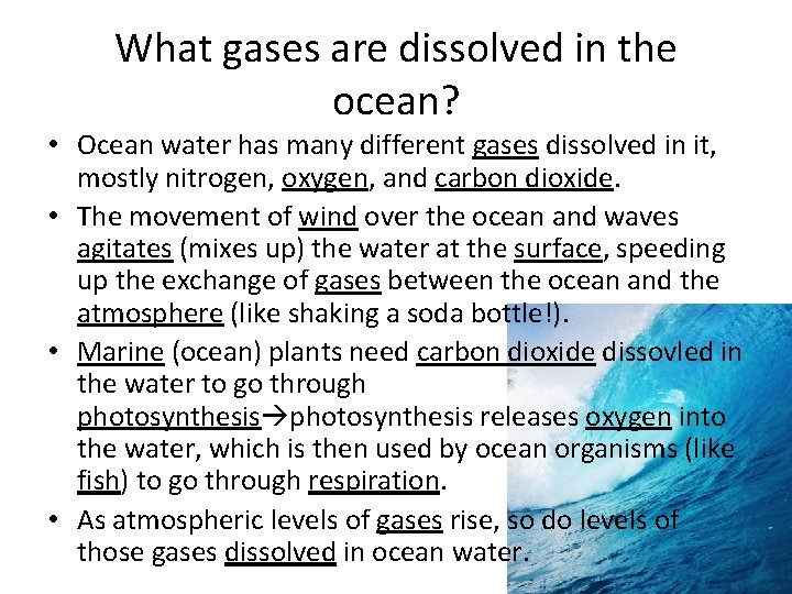 What gases are dissolved in the ocean? • Ocean water has many different gases