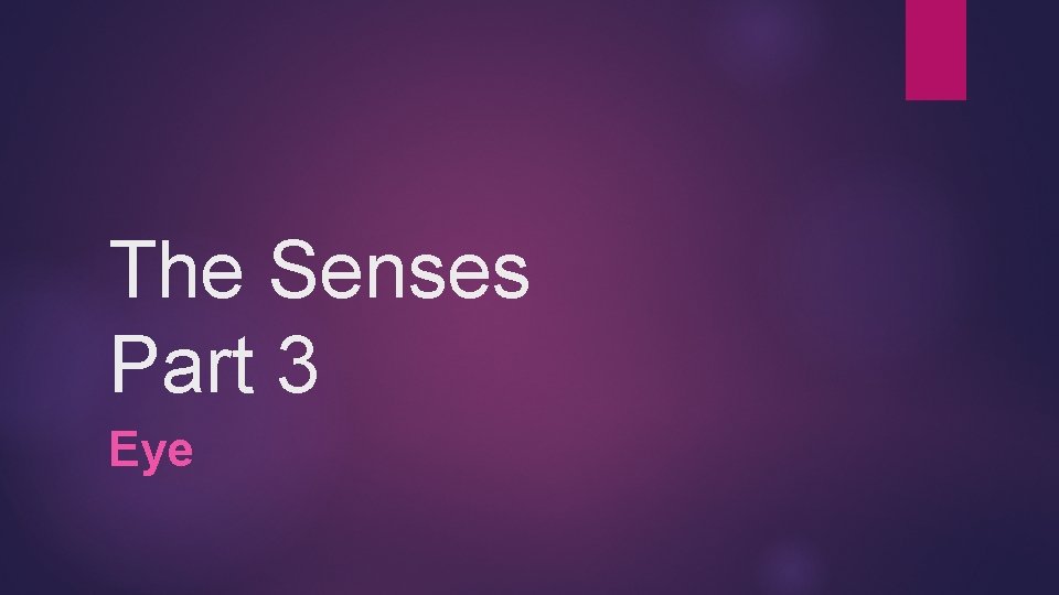 The Senses Part 3 Eye The Senses Part 3 Eye