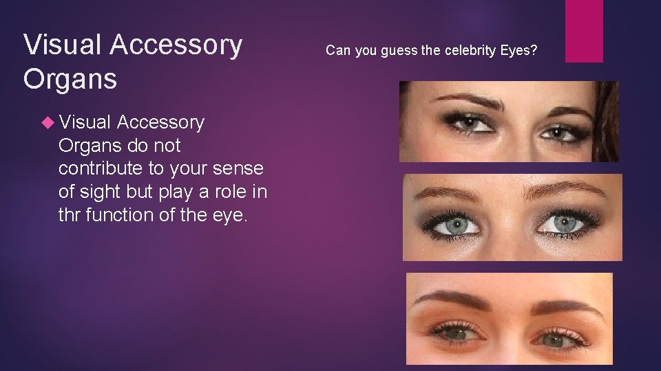Visual Accessory Organs do not contribute to your sense of sight but play a Visual Accessory Organs do not contribute to your sense of sight but play a