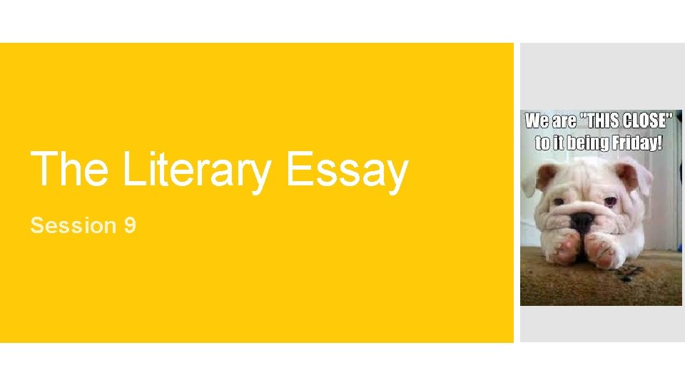 The Literary Essay Session 9 
