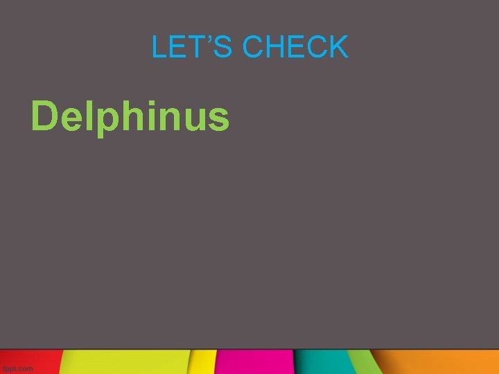 LET’S CHECK Delphinus 