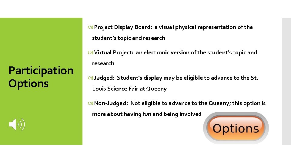  Project Display Board: a visual physical representation of the student’s topic and research