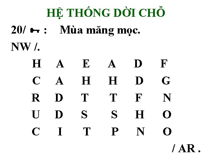 HỆ THỐNG DỜI CHỖ 20/ : Mùa măng mọc. NW /. H A E