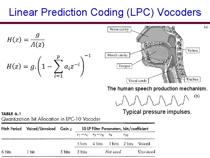 Linear Prediction Coding (LPC) Vocoders The human speech production mechanism. Typical pressure impulses. 
