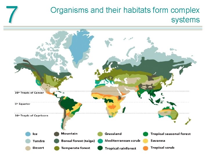 7 Organisms and their habitats form complex systems 