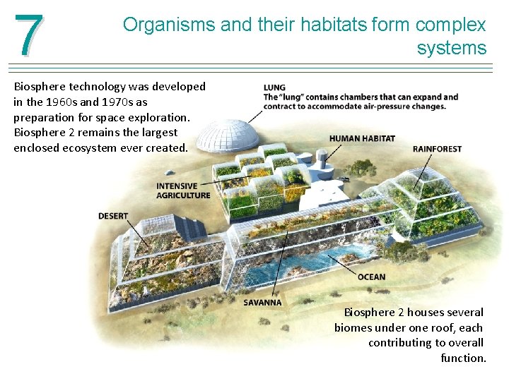 7 Organisms and their habitats form complex systems Biosphere technology was developed in the