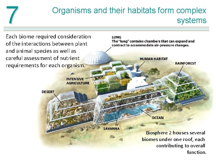 7 Organisms and their habitats form complex systems Each biome required consideration of the