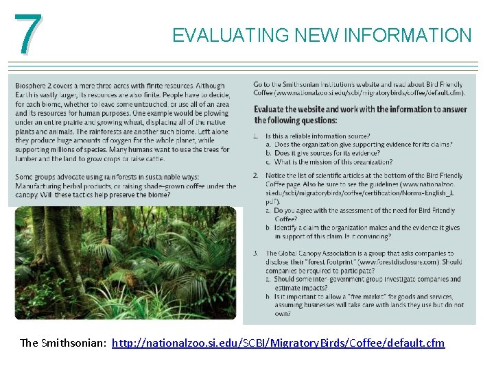 7 EVALUATING NEW INFORMATION The Smithsonian: http: //nationalzoo. si. edu/SCBI/Migratory. Birds/Coffee/default. cfm 