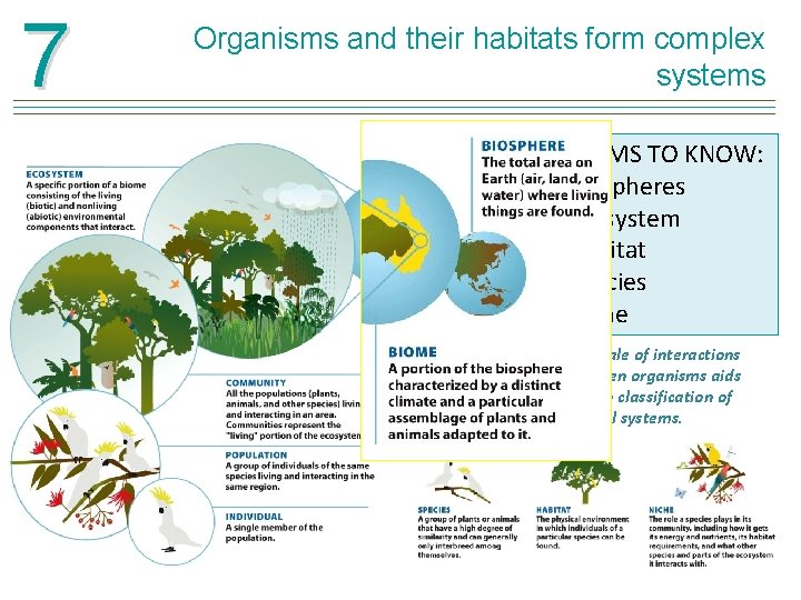 7 Organisms and their habitats form complex systems TERMS TO KNOW: Biospheres Ecosystem Habitat