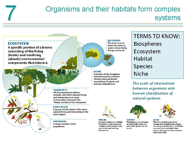 7 Organisms and their habitats form complex systems TERMS TO KNOW: Biospheres Ecosystem Habitat