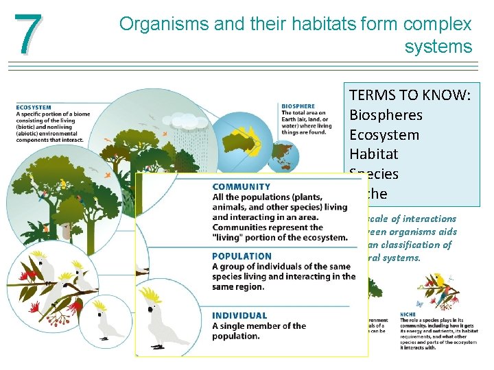 7 Organisms and their habitats form complex systems TERMS TO KNOW: Biospheres Ecosystem Habitat