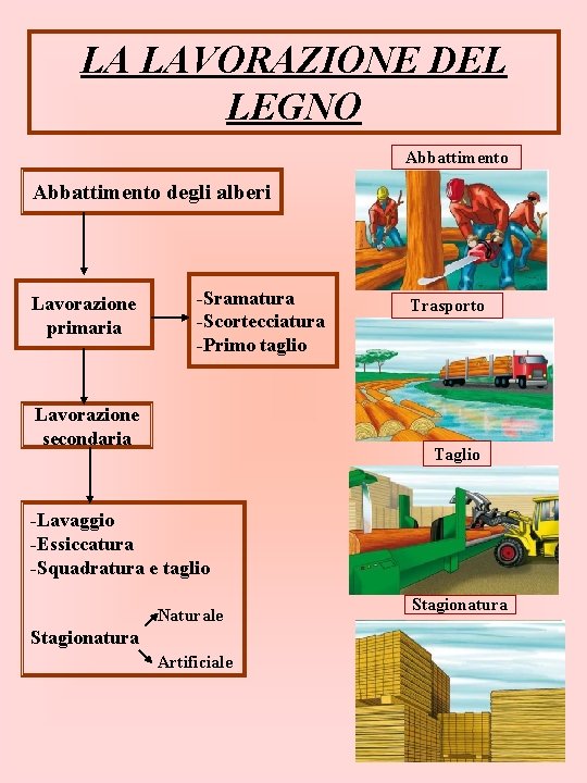 LA LAVORAZIONE DEL LEGNO Abbattimento degli alberi Lavorazione primaria -Sramatura -Scortecciatura -Primo taglio Lavorazione