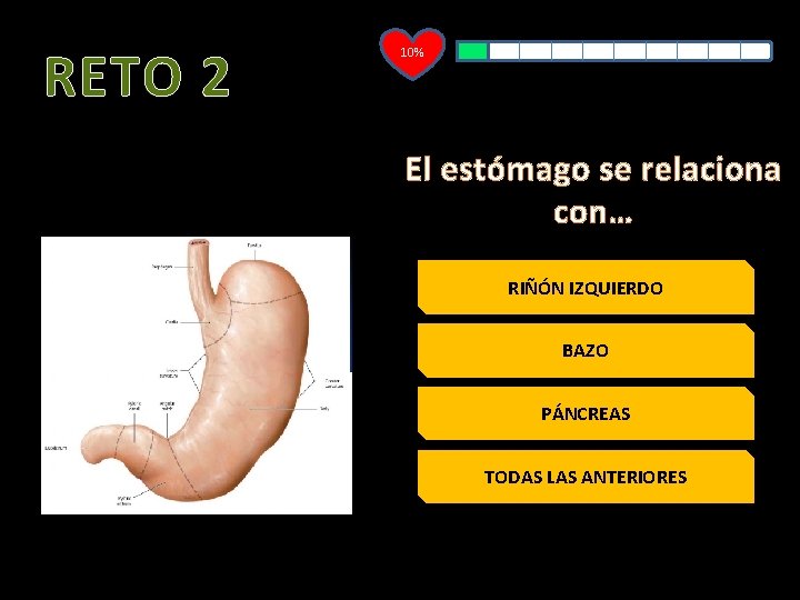 RETO 2 10% El estómago se relaciona con… RIÑÓN IZQUIERDO BAZO PÁNCREAS TODAS LAS