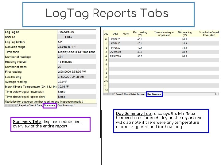Log. Tag Reports Tabs Summary Tab: displays a statistical overview of the entire report