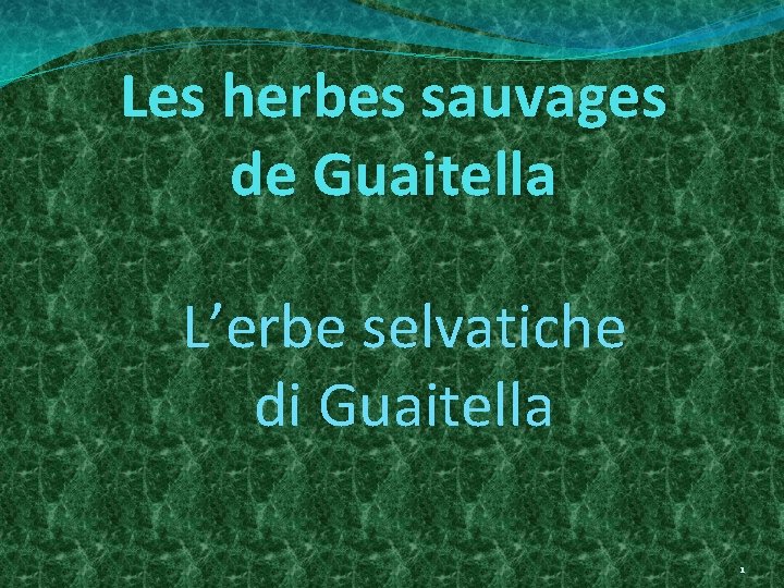 Les herbes sauvages de Guaitella L’erbe selvatiche di Guaitella 1 