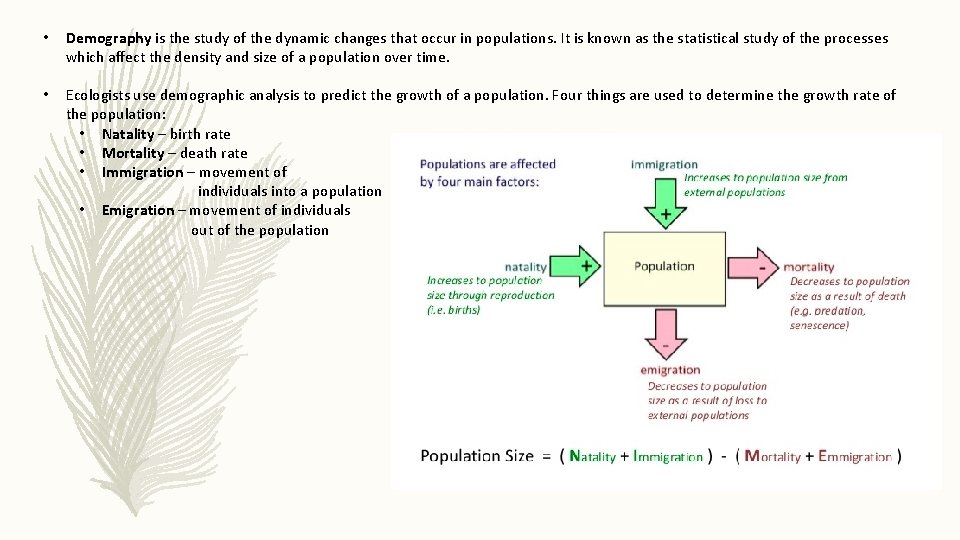  • Demography is the study of the dynamic changes that occur in populations.