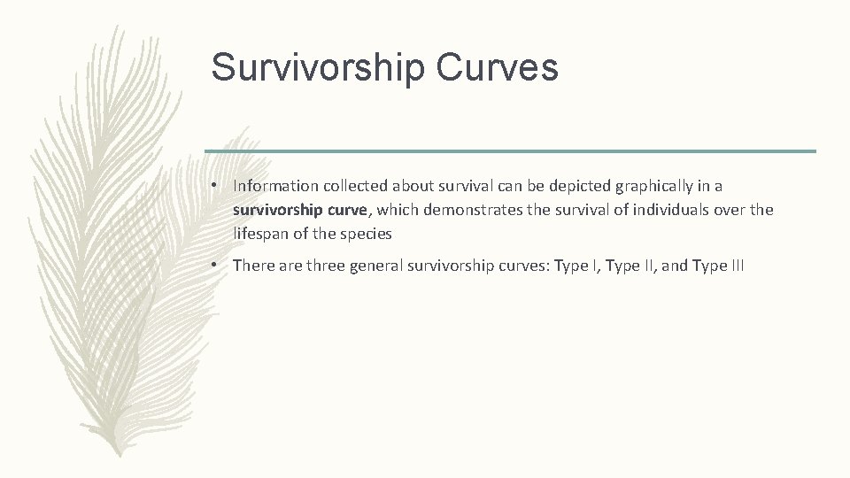 Survivorship Curves • Information collected about survival can be depicted graphically in a survivorship