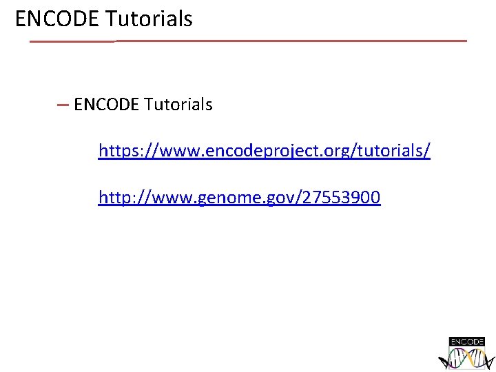 ENCODE Tutorials https: //www. encodeproject. org/tutorials/ http: //www. genome. gov/27553900 ENCODE Tutorials https: //www. encodeproject. org/tutorials/ http: //www. genome. gov/27553900