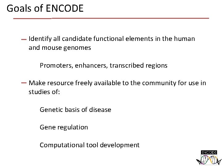 Goals of ENCODE Identify all candidate functional elements in the human and mouse genomes Goals of ENCODE Identify all candidate functional elements in the human and mouse genomes