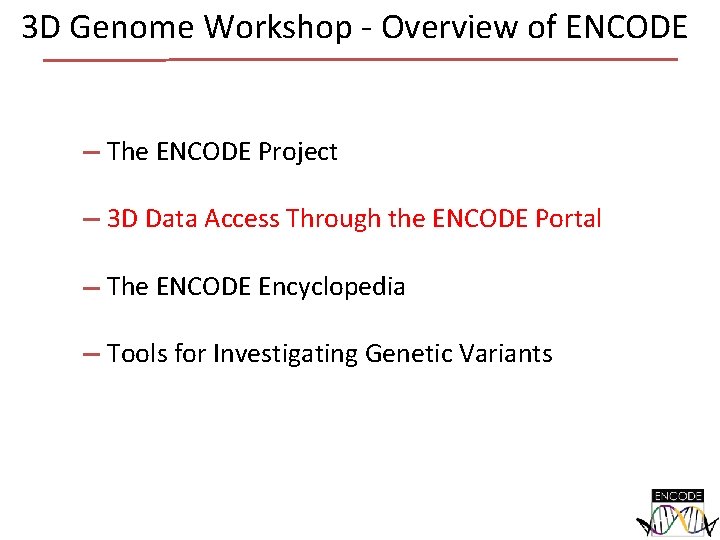 3 D Genome Workshop - Overview of ENCODE The ENCODE Project 3 D Data 3 D Genome Workshop - Overview of ENCODE The ENCODE Project 3 D Data