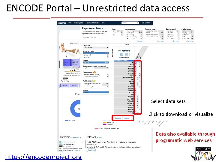 ENCODE Portal – Unrestricted data access Select data sets Click to download or visualize ENCODE Portal – Unrestricted data access Select data sets Click to download or visualize