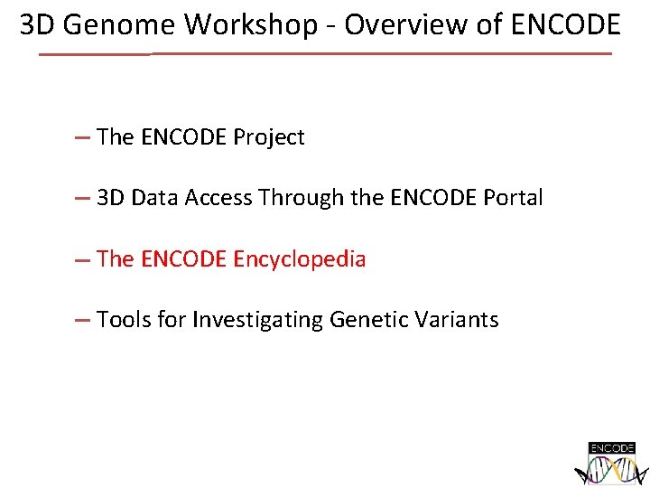 3 D Genome Workshop - Overview of ENCODE The ENCODE Project 3 D Data 3 D Genome Workshop - Overview of ENCODE The ENCODE Project 3 D Data