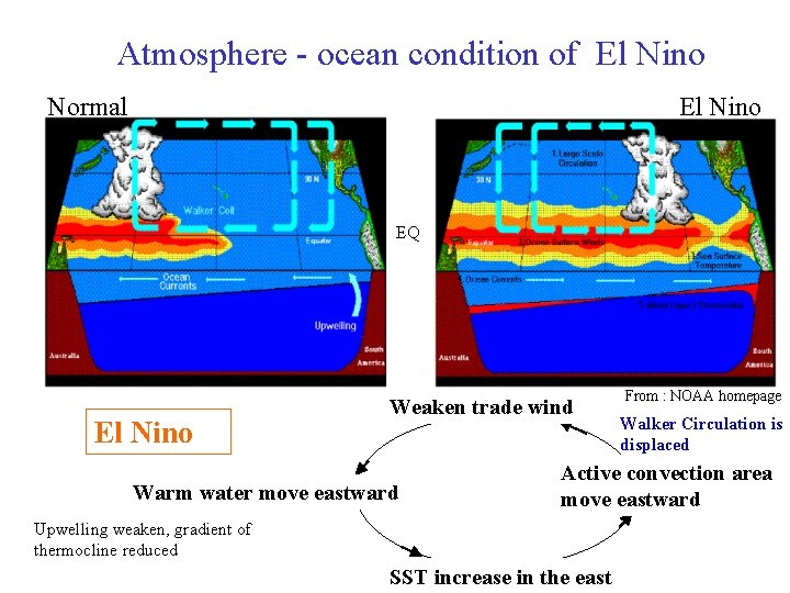 Atmosphere - ocean condition of El Nino Normal El Nino EQ El Nino Weaken