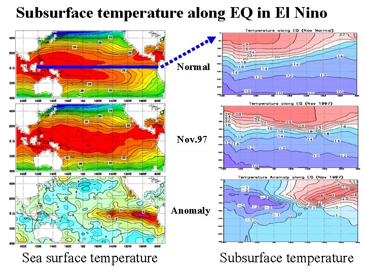 Subsurface temperature along EQ in El Nino Normal Nov. 97 Anomaly Sea surface temperature