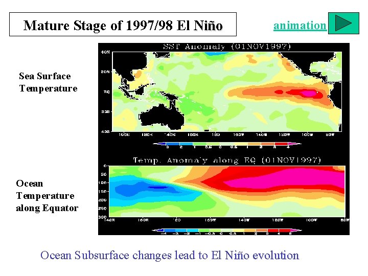 Mature Stage of 1997/98 El Niño animation Sea Surface Temperature Ocean Temperature along Equator