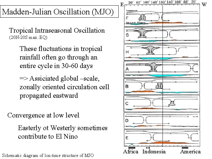 Madden-Julian Oscillation (MJO) E W Tropical Intraseasonal Oscillation (20 N-20 S max. : EQ)