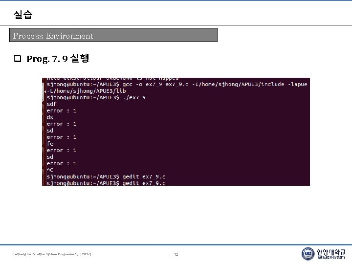 실습 Process Environment Prog. 7. 9 실행 Hanyang University – System Programming. [ 2017