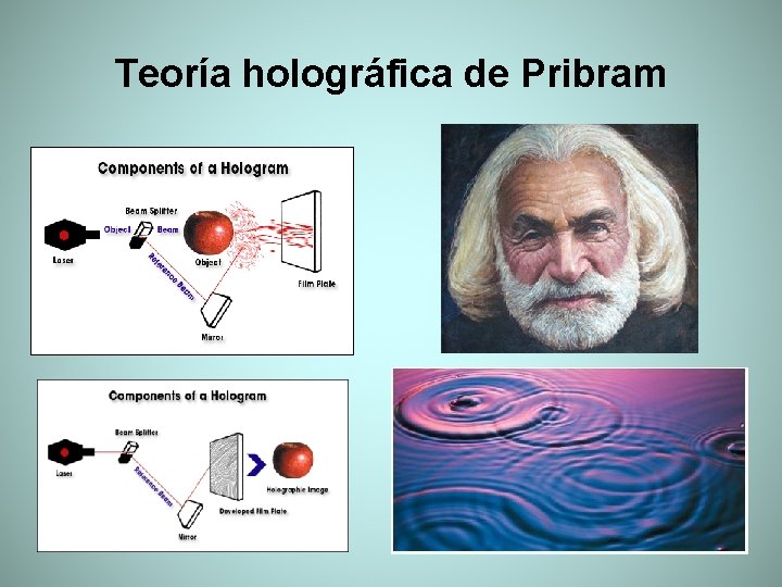 Teoría holográfica de Pribram 